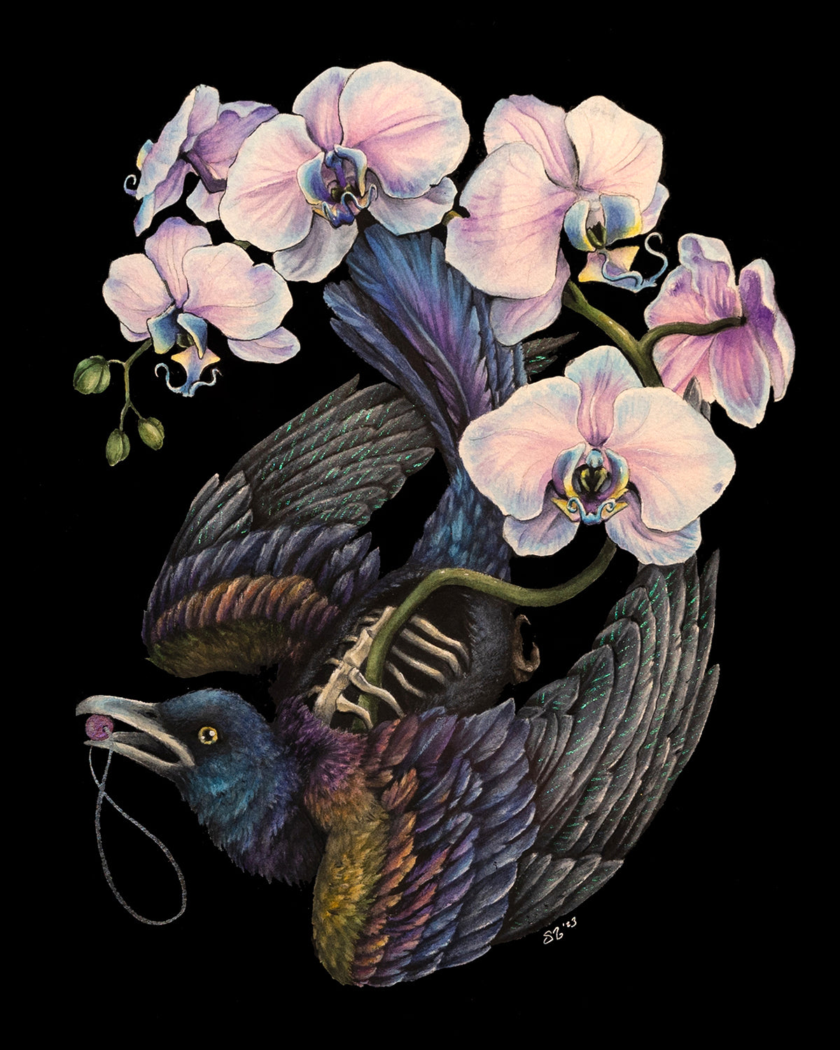 Steph Stevenson "Savage Luxury"