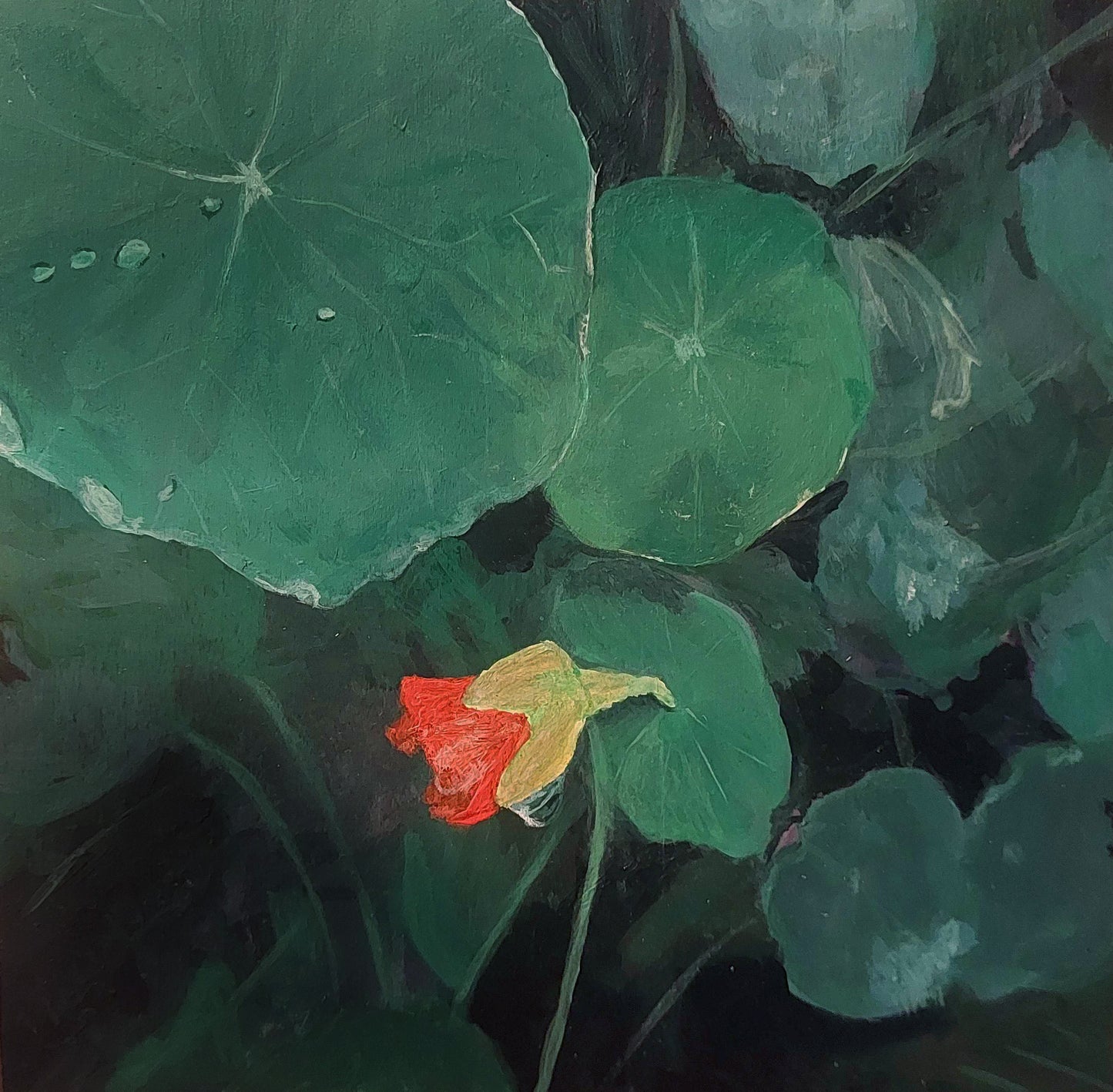 Verity Kent "Summer's Last Nasturtium"