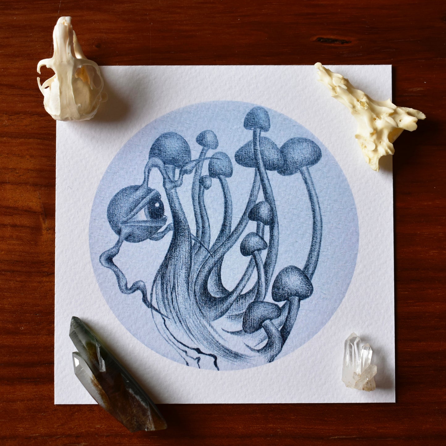 Katherine Wilson "Tending the Enoki II"
