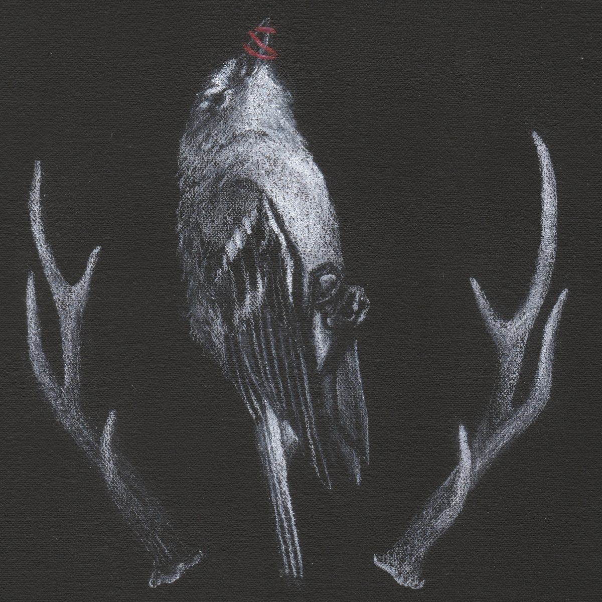 Shannon Thomas "Things with Feathers IV" (Online)