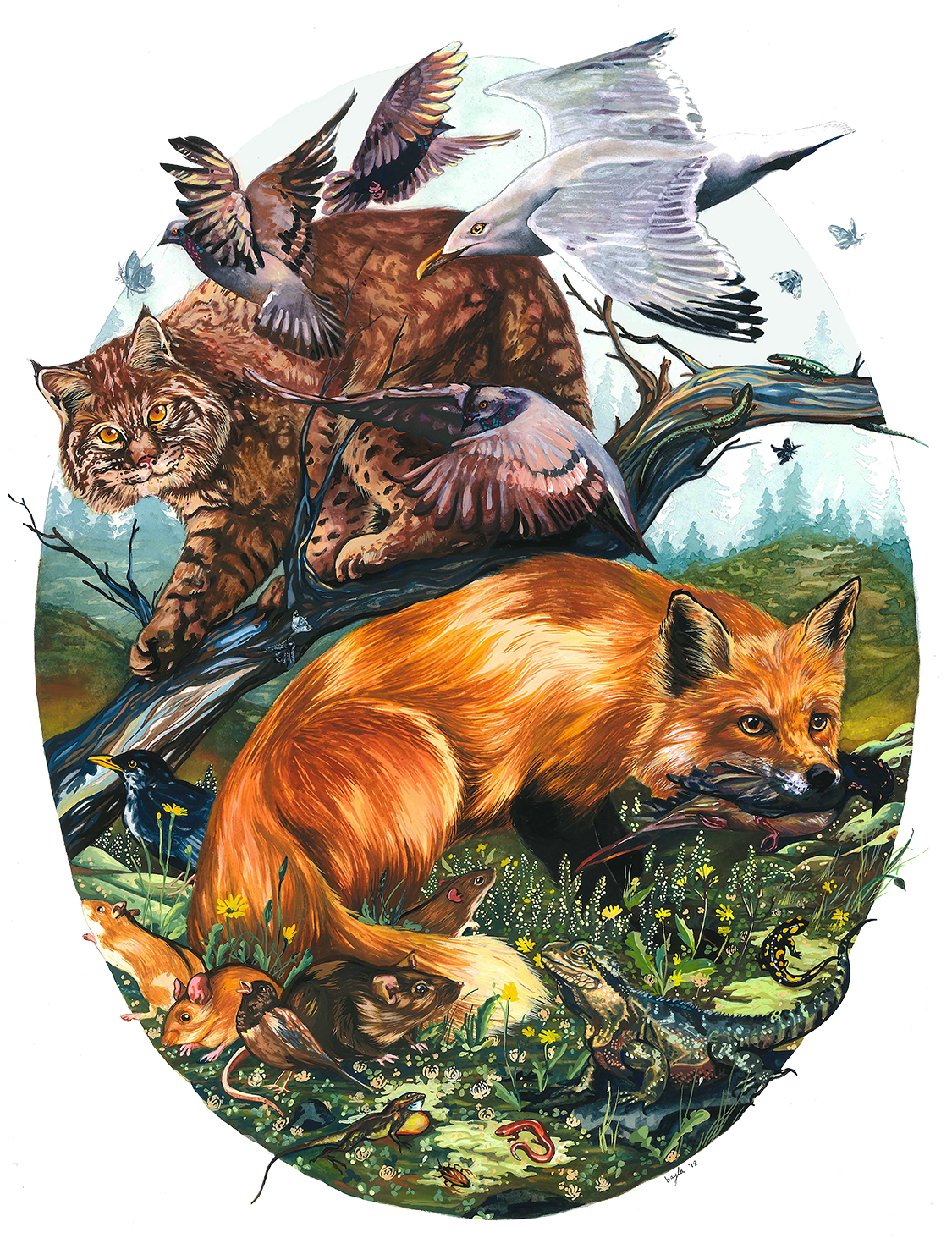 Bayla Arietta "Urban Rapid Evolution"