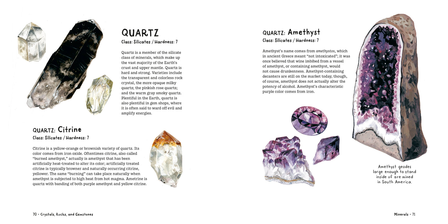Crystals, Rocks and Gemstones by Kelsey Oseid *PRE-ORDER 8/31*