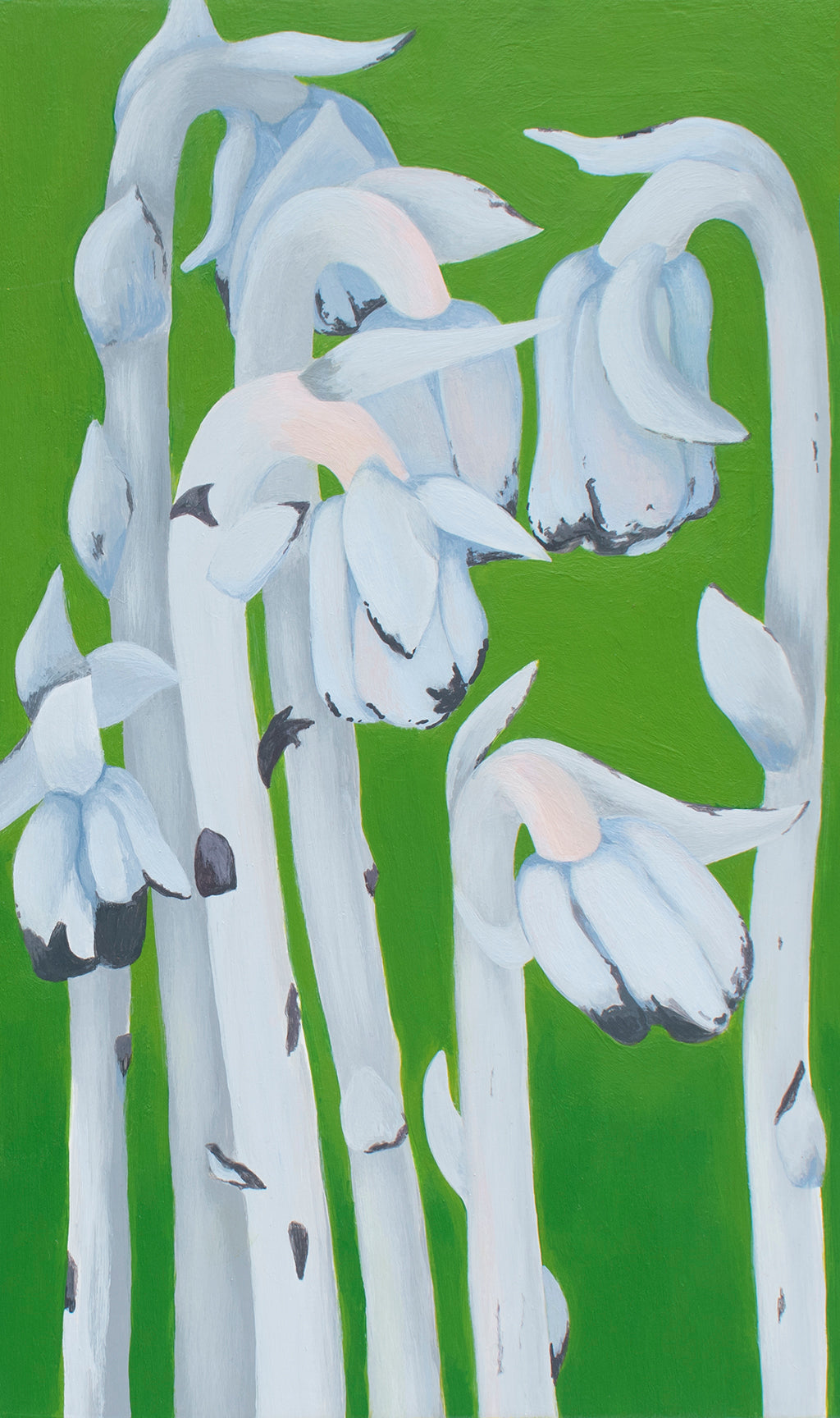 Amy Daileda "Ghost Flower"