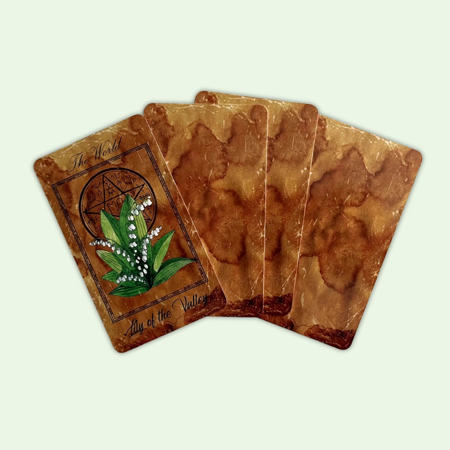 The Enchanted Flowers Tarot Deck & Guide by Vera Petruk
