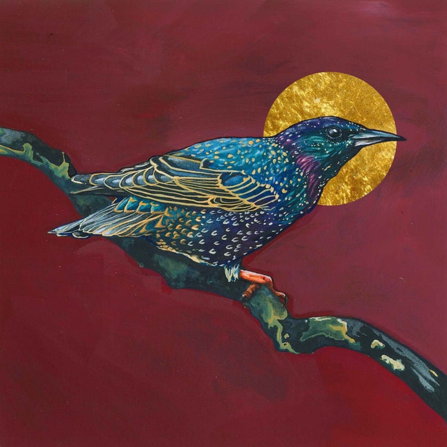 Bayla Arietta "European Starling"