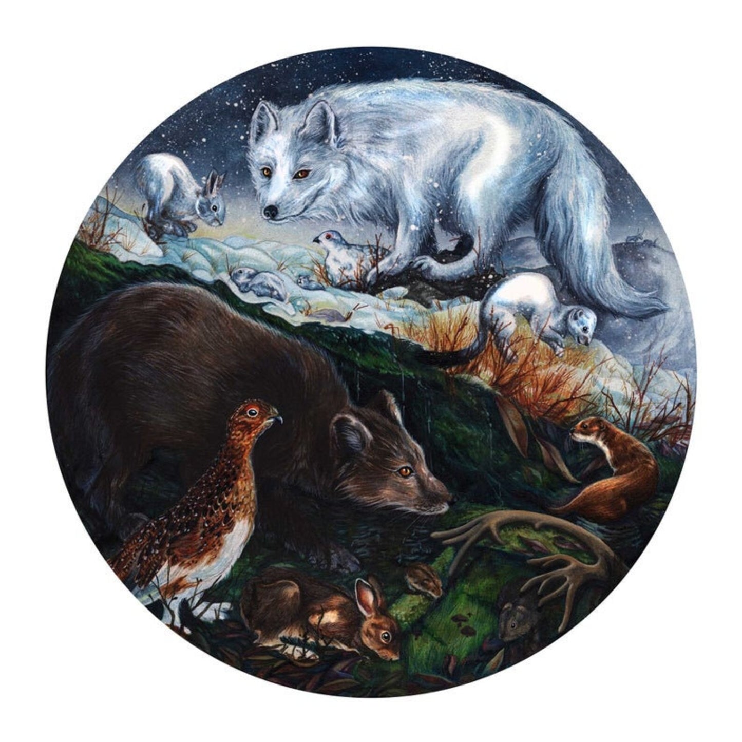 Bayla Arietta "Season's Change"