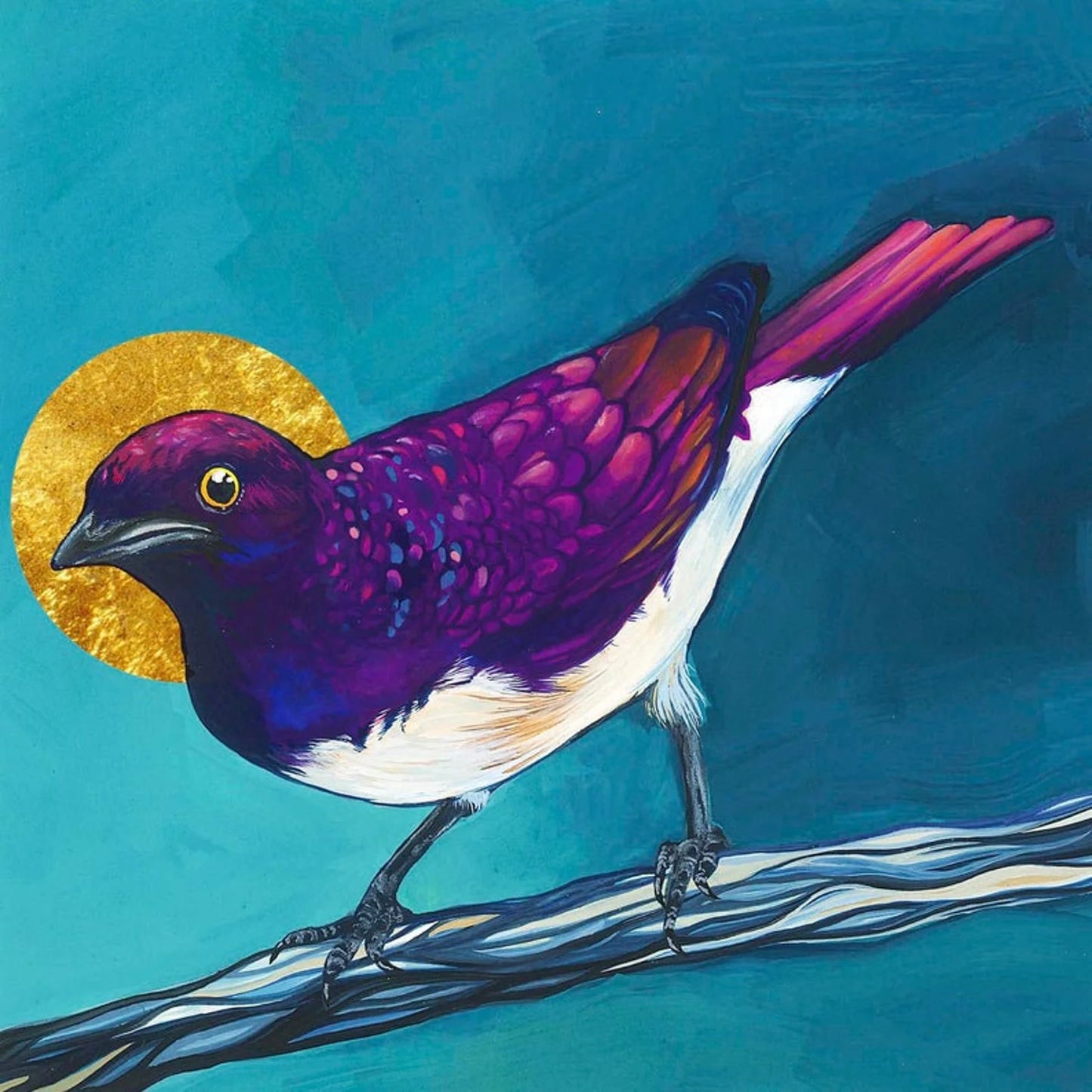 Bayla Arietta "Violet Backed Starling"