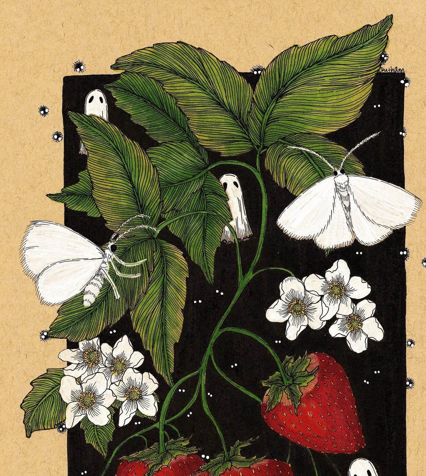 Barnacles and Moss "Strawberries & Soot Sprites"