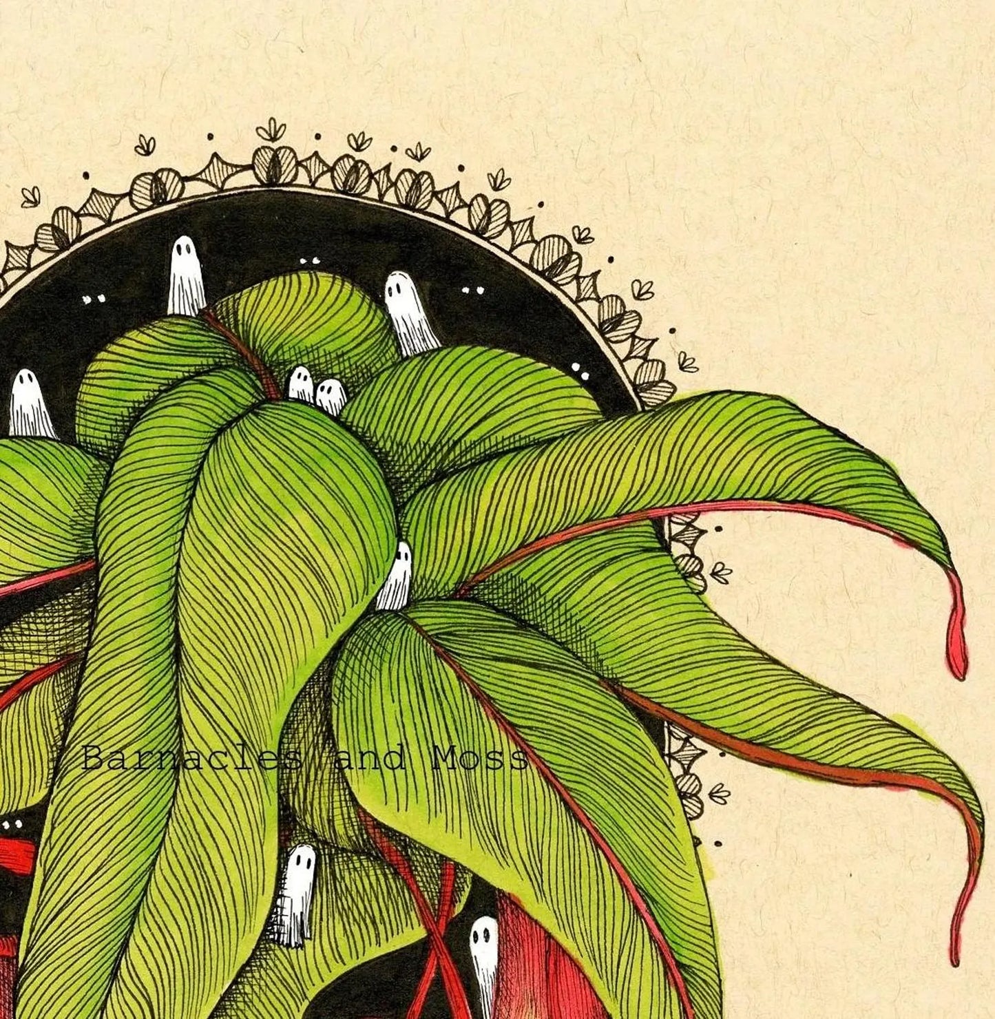 Barnacles and Moss "Pitcher Plant"