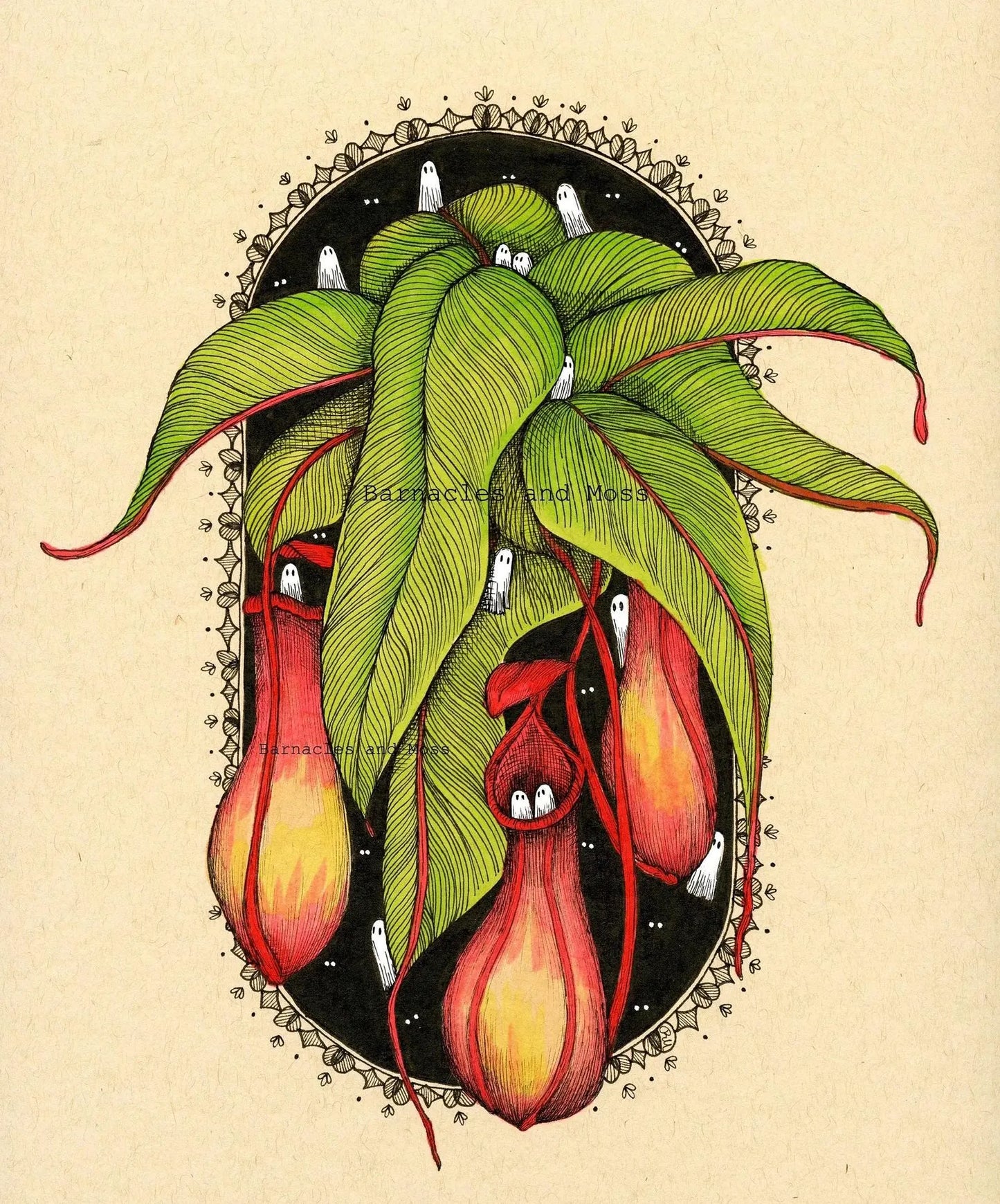 Barnacles and Moss "Pitcher Plant"