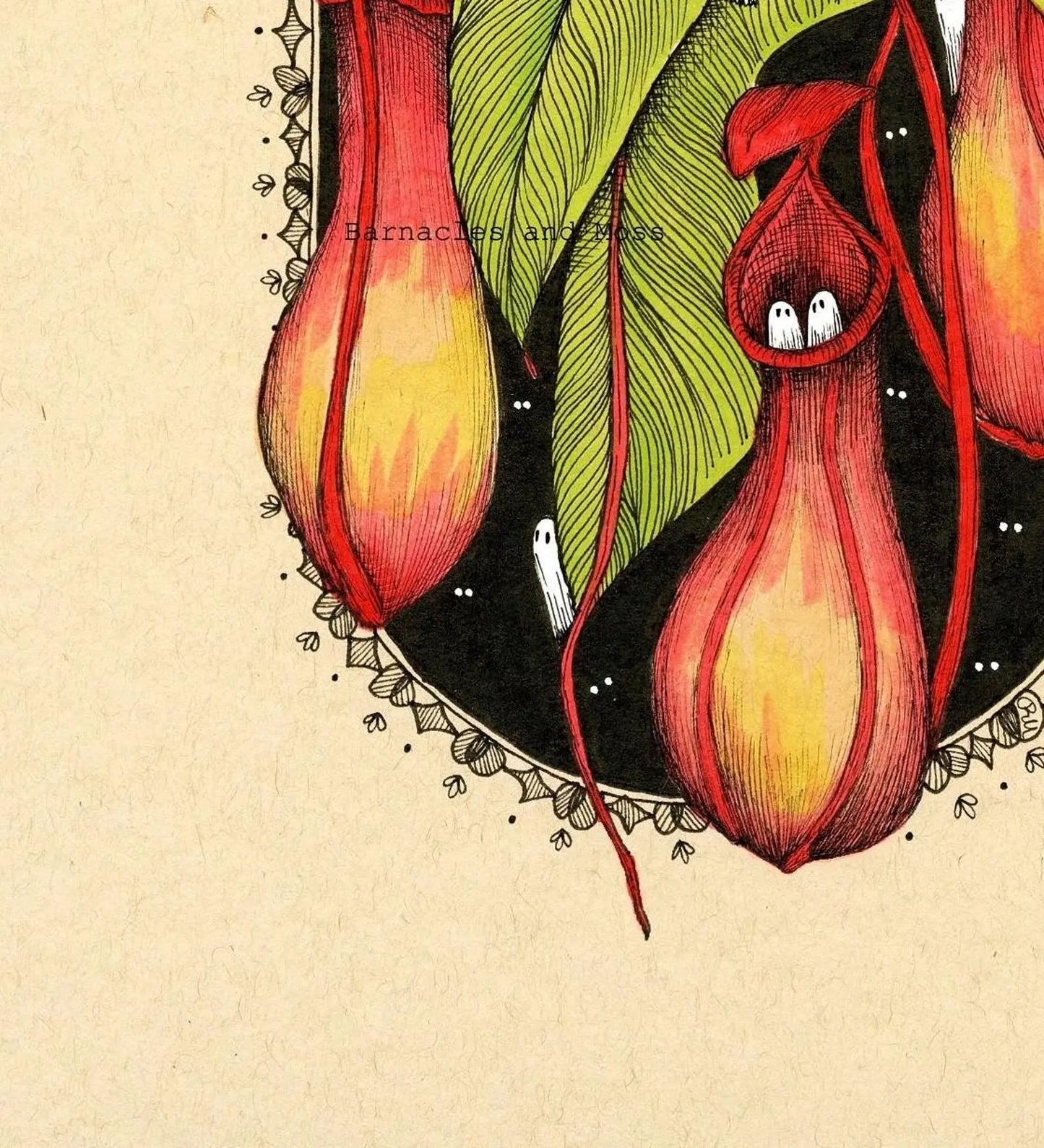 Barnacles and Moss "Pitcher Plant"