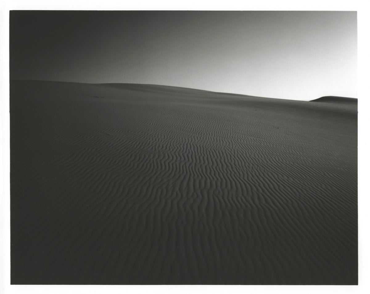 EJ Dove "Oregon Dune Study 2"