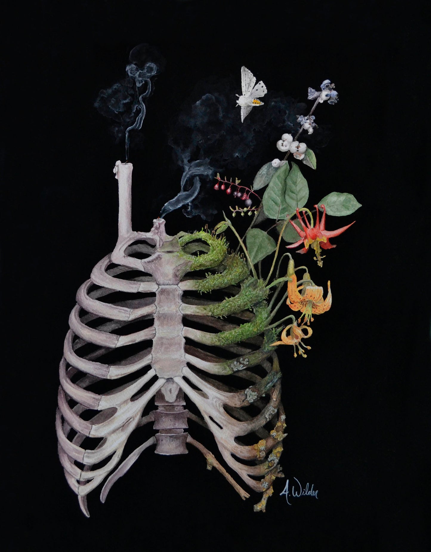 Anneke Wilder "Los secretos del reloj de agua de la polilla"