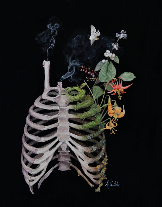 Anneke Wilder "Los secretos del reloj de agua de la polilla"