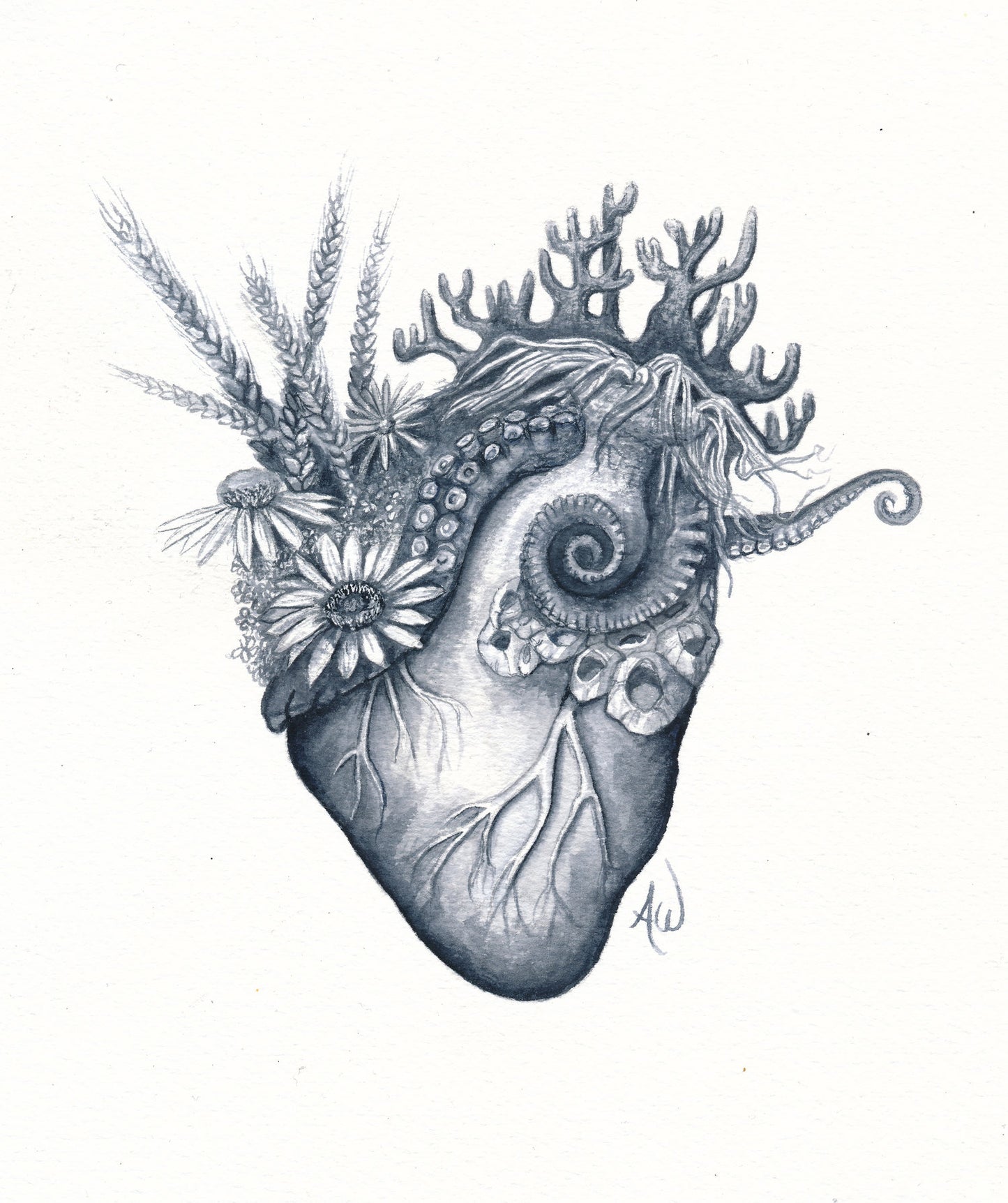 Anneke Wilder "Mar y césped"