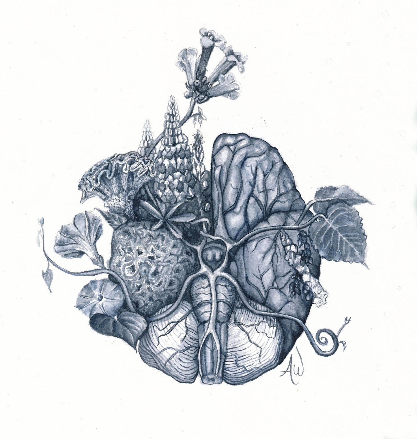 Anneke Wilder "Cosmos"