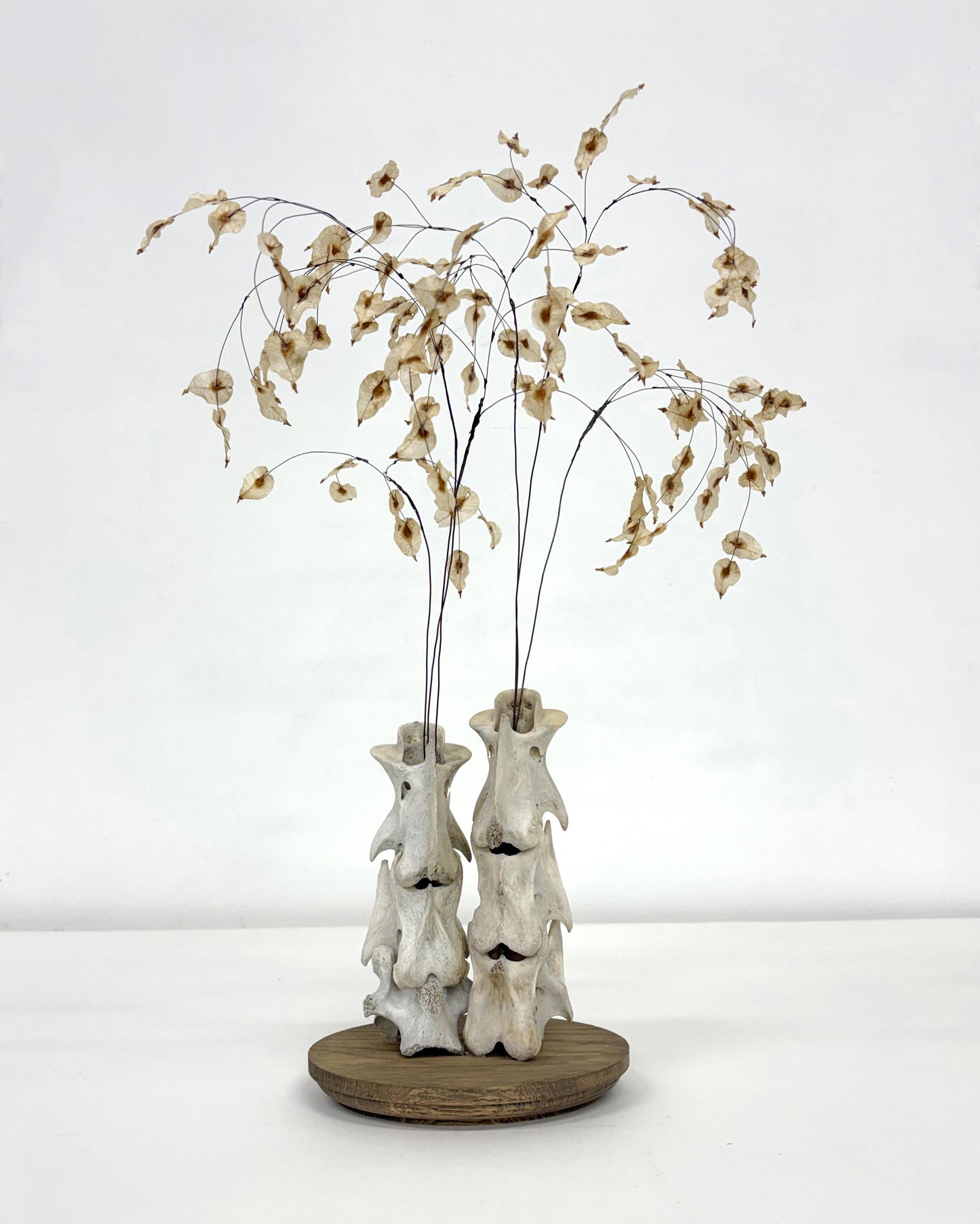 Julie Anne Mann "Slippery Elm"
