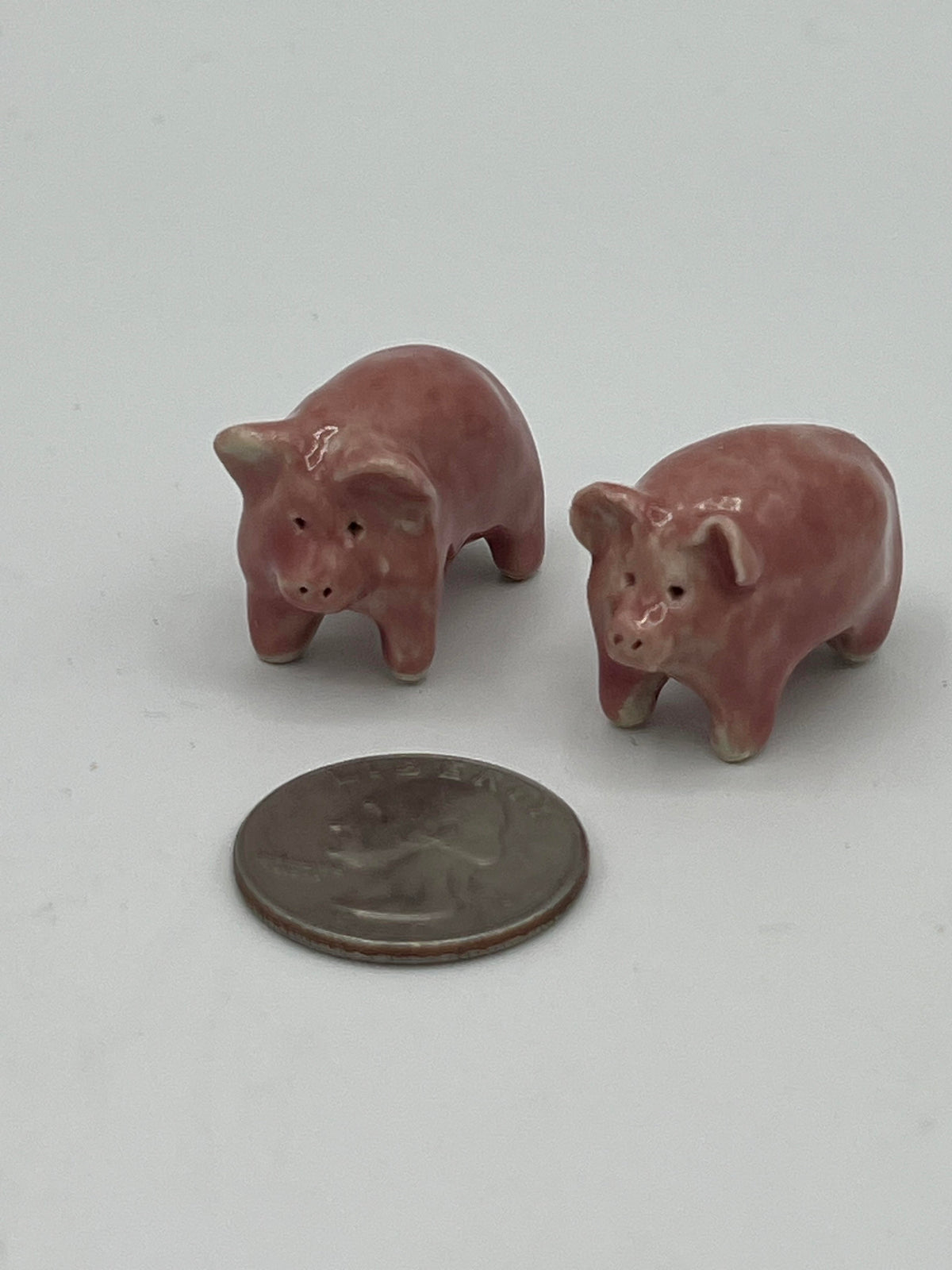 Amalia Morsi "Ceramic Pigs" Miniatures