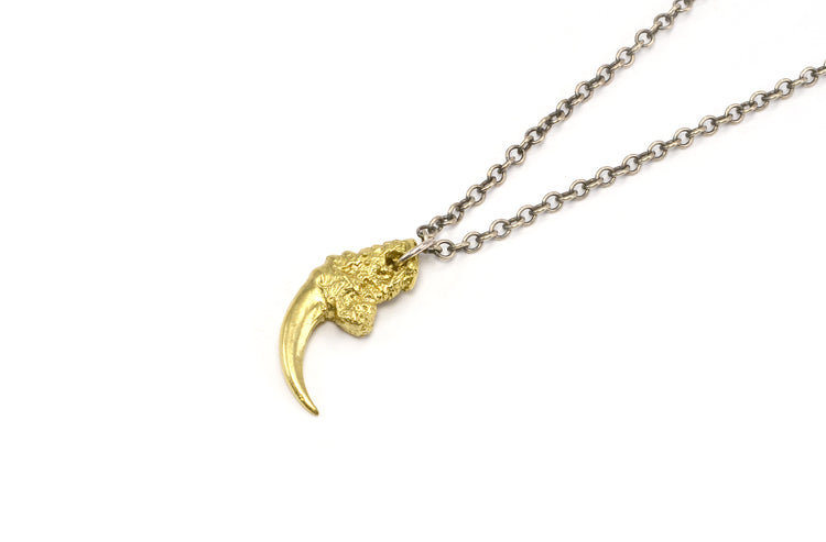 Eilisain "The Hunted I" Owl Talon Charm Necklace