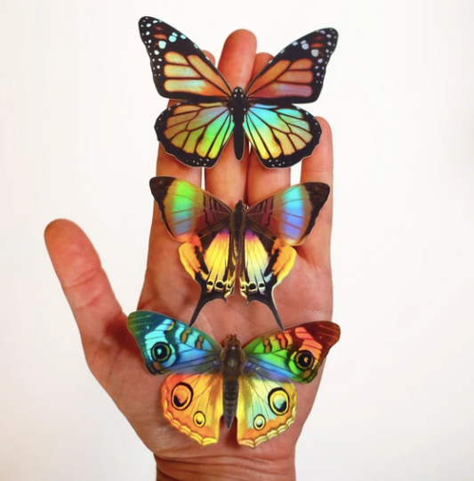 Conjunto de pegatinas holográficas "Daggerwing & Blue Buckeye" de Moth & Myth