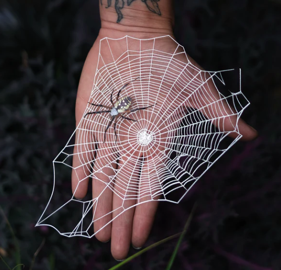 Moth & Myth "Weaver" Spiderweb and Spider Set