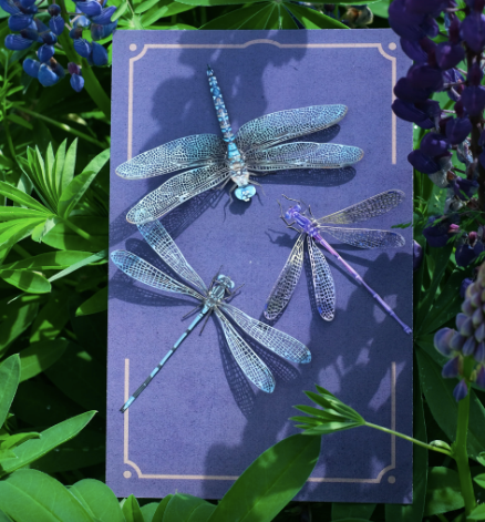 Moth & Myth "Aerial" Dragonfly Set