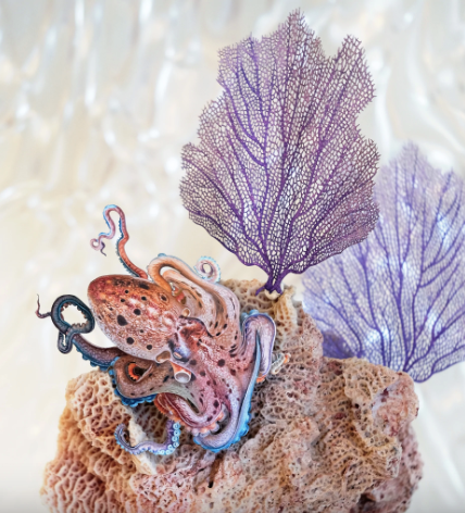 Muestra de papel de abanico de mar "Calypso" de Moth & Myth