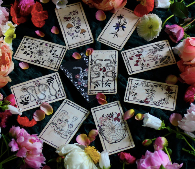Tarot Leila + Oliva Ophidia Rosa