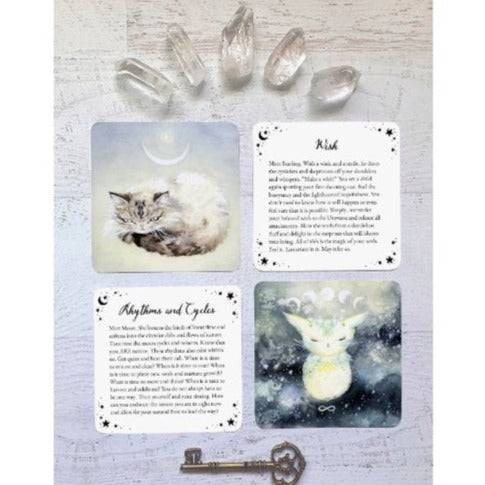 Witch Cats Oracle Deck