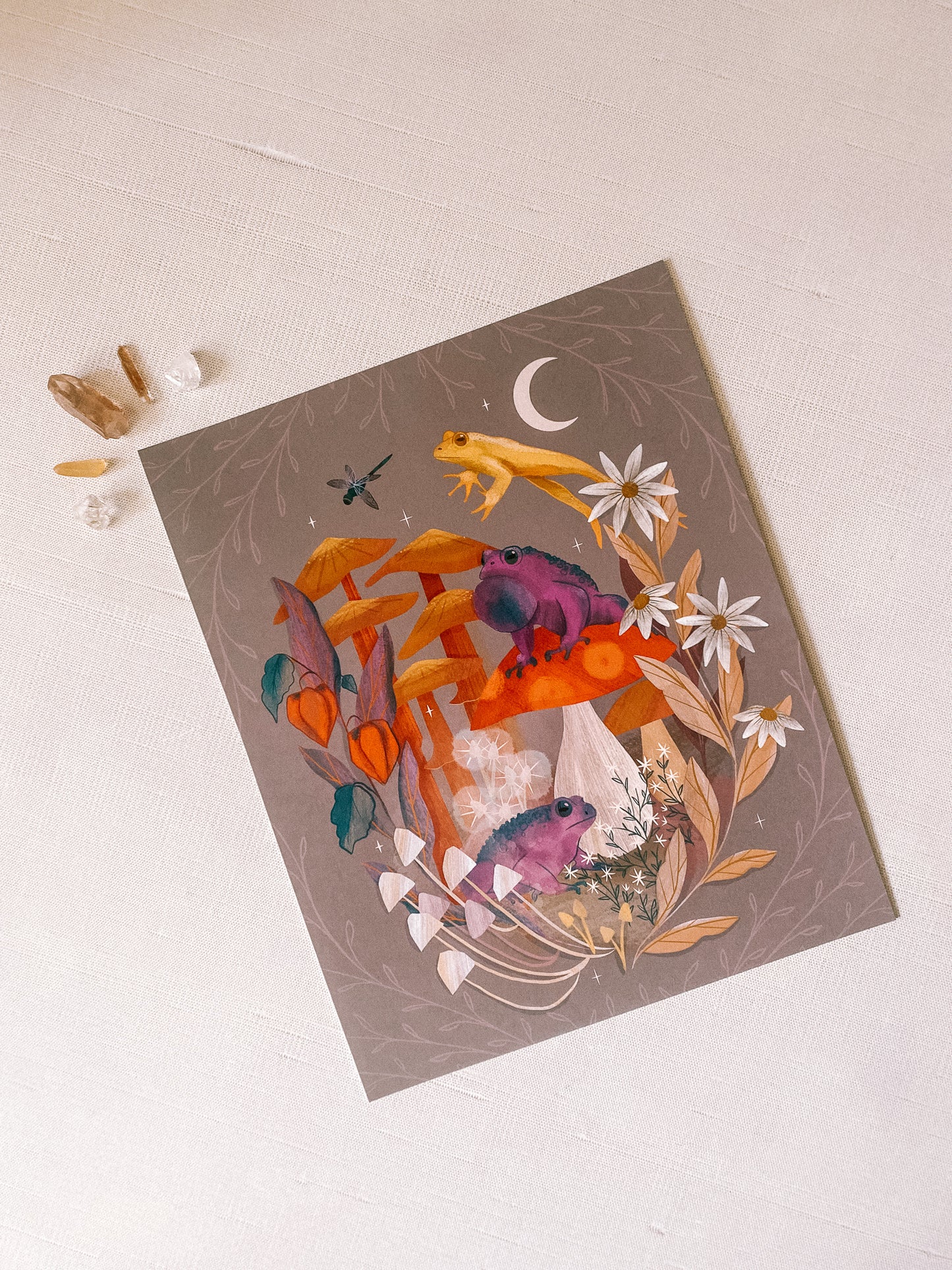 Lantern Print Co. "Toads & Toadstools" Print