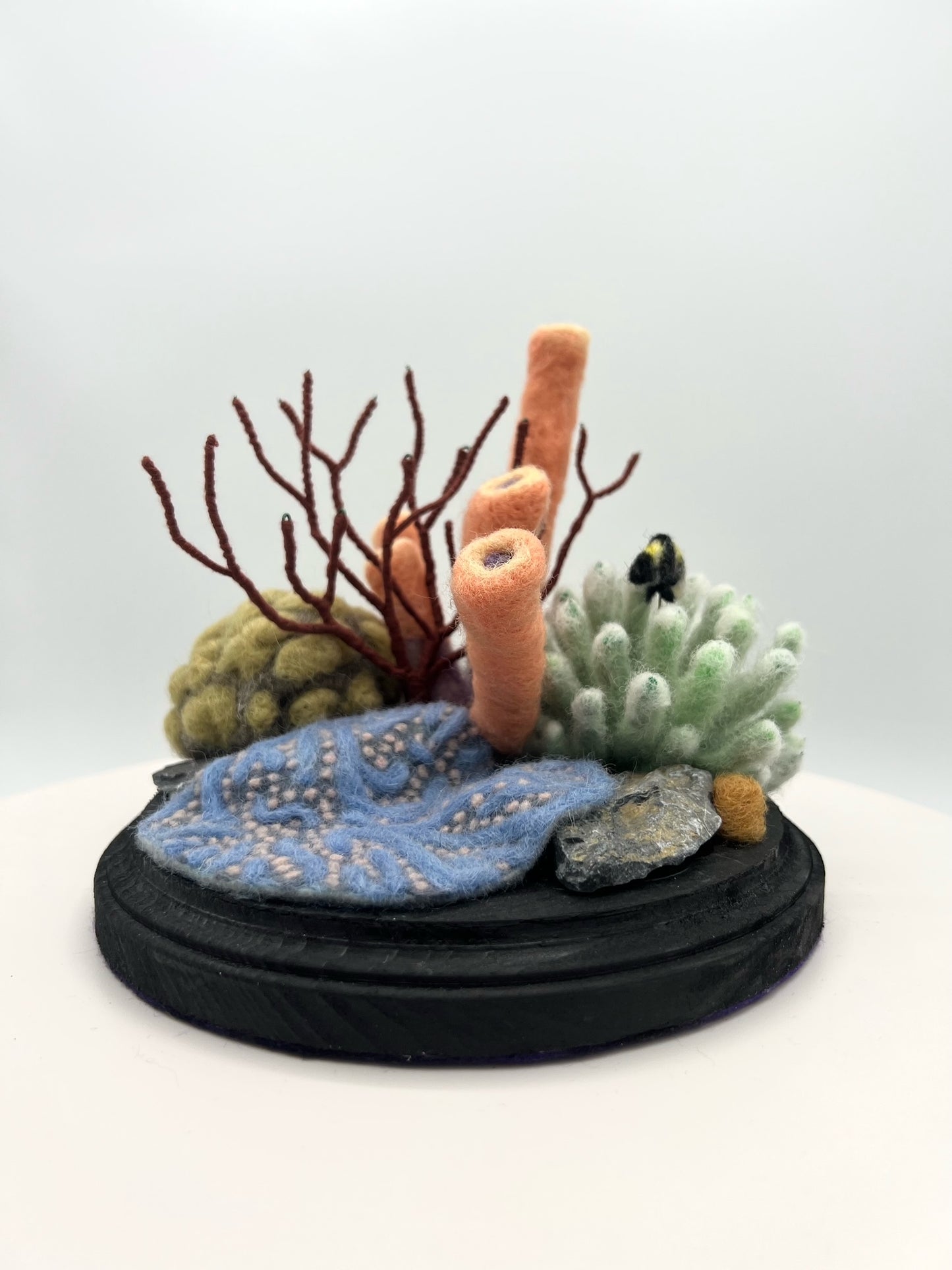 Amalia Morsi "Jardín de coral en peligro de extinción"