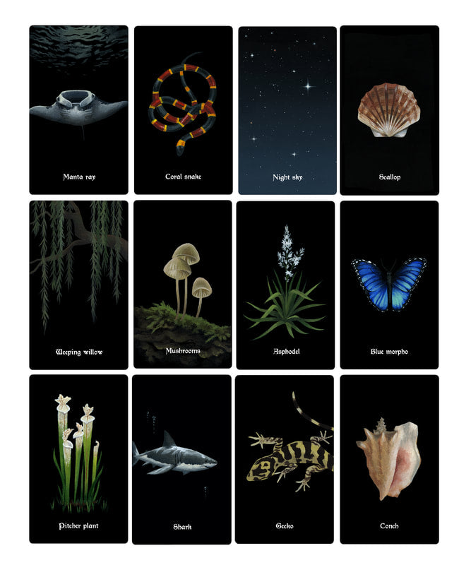 The Nocturna Oracle Deck