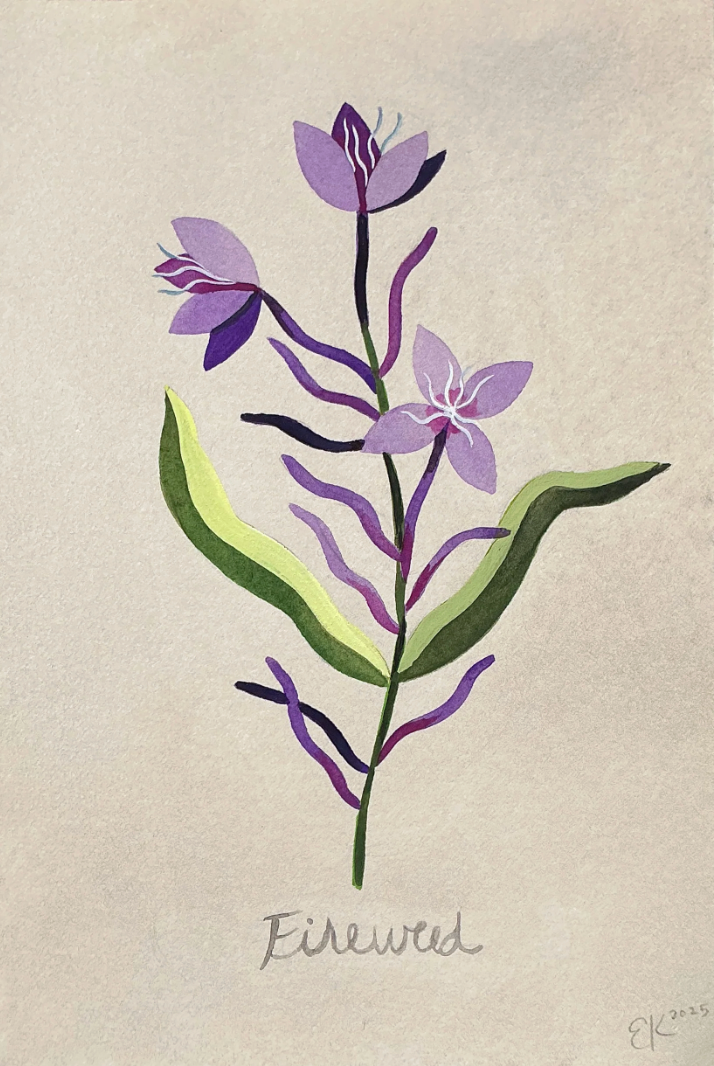 CALL FOR ART! TONIC: A Medicinal Flora & Fungi Exhibition