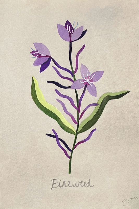 CALL FOR ART! TONIC: A Medicinal Flora & Fungi Exhibition