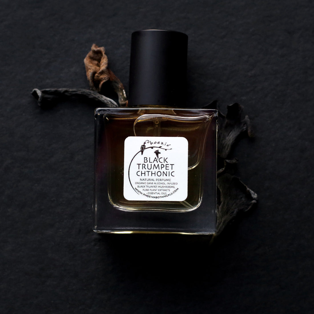 CALL FOR ART! TONIC: A Medicinal Flora & Fungi Exhibition