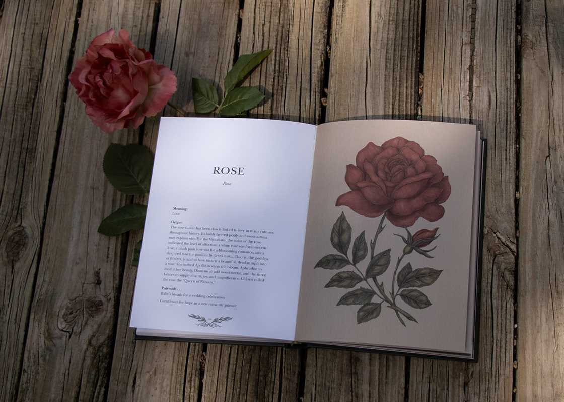 Jessica Roux "Floriography" Botanical Encyclopedia