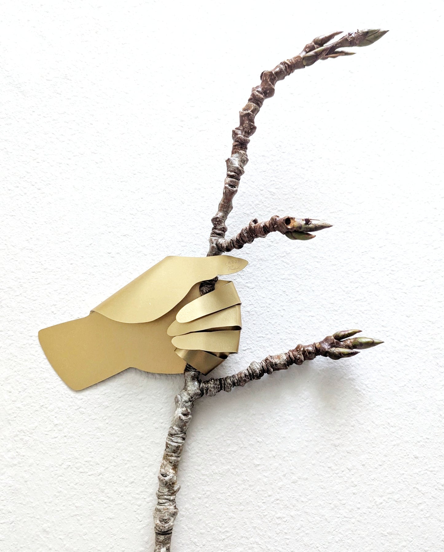 Irene Rex "Found Now, Future Oil"