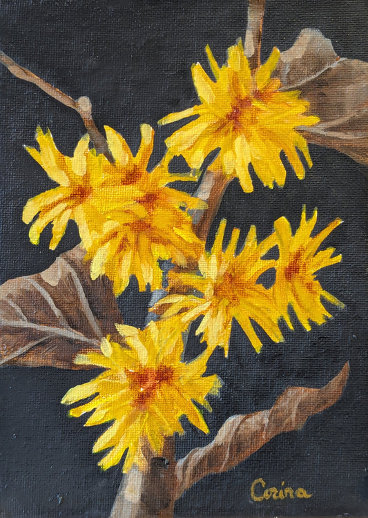 Corina Linden "Persephone's Garden: Witch Hazel"