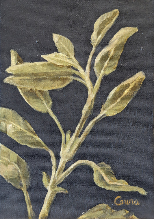 Corina Linden "Persephone's Garden: Sage"