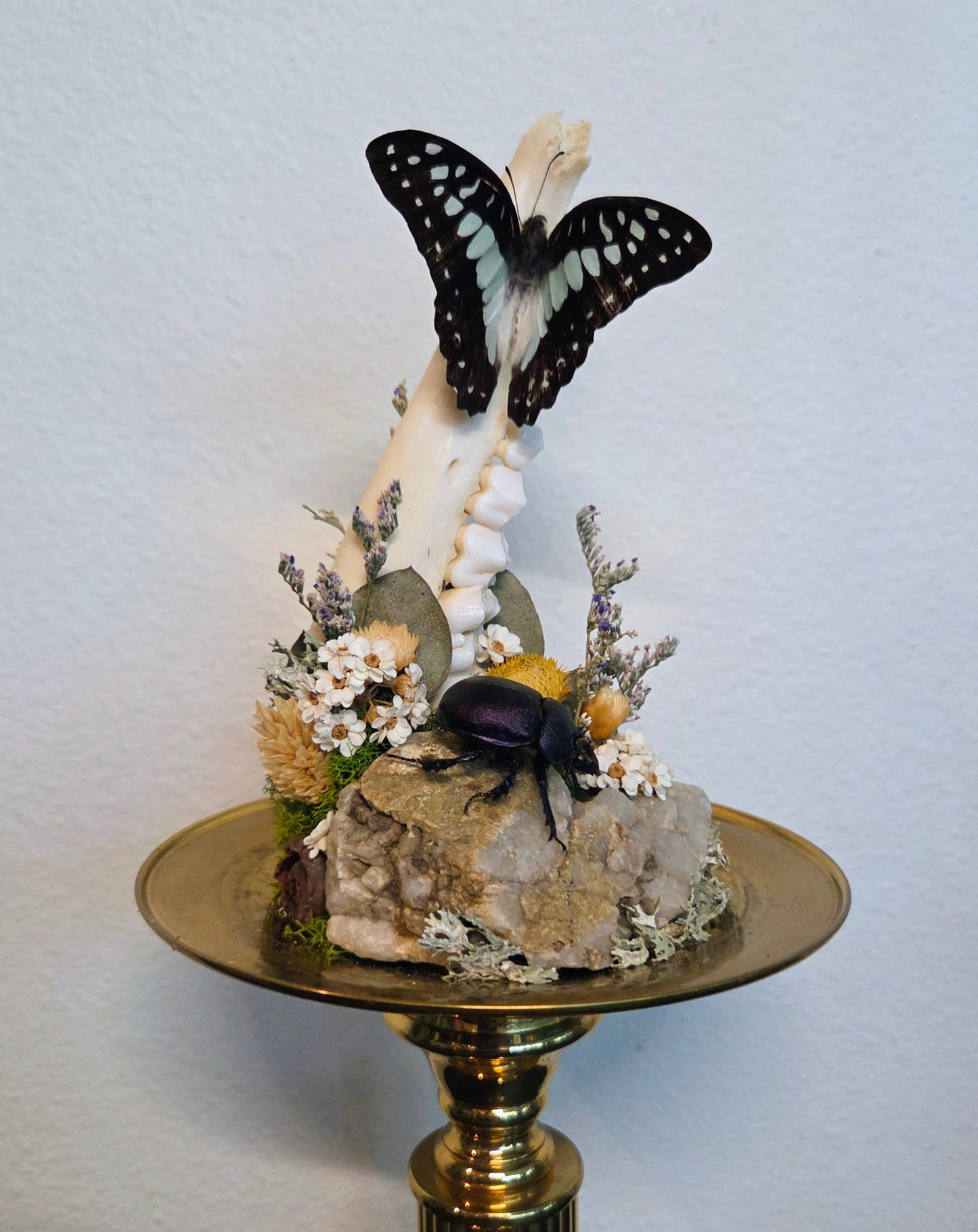 How Queer? Oddities "Untitled 1"