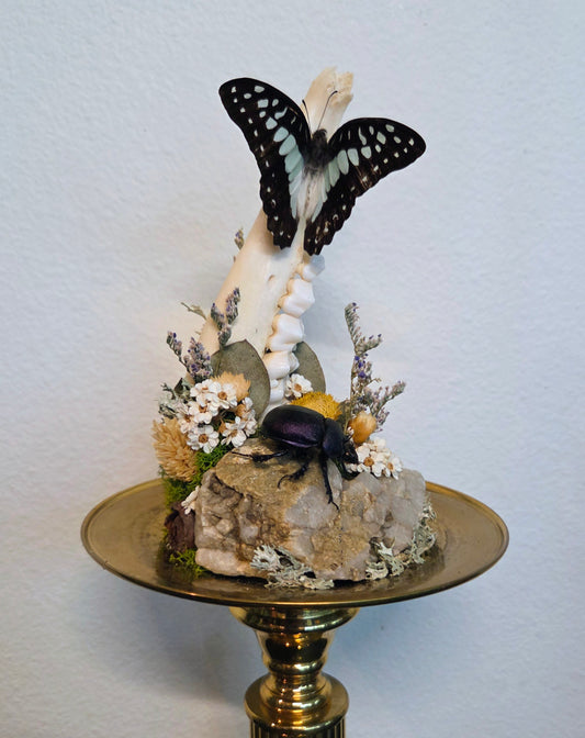How Queer? Oddities "Untitled 1"