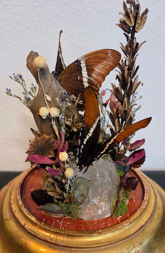 How Queer? Oddities "Untitled 3"