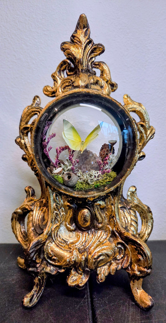 How Queer? Oddities "Golden Hour"