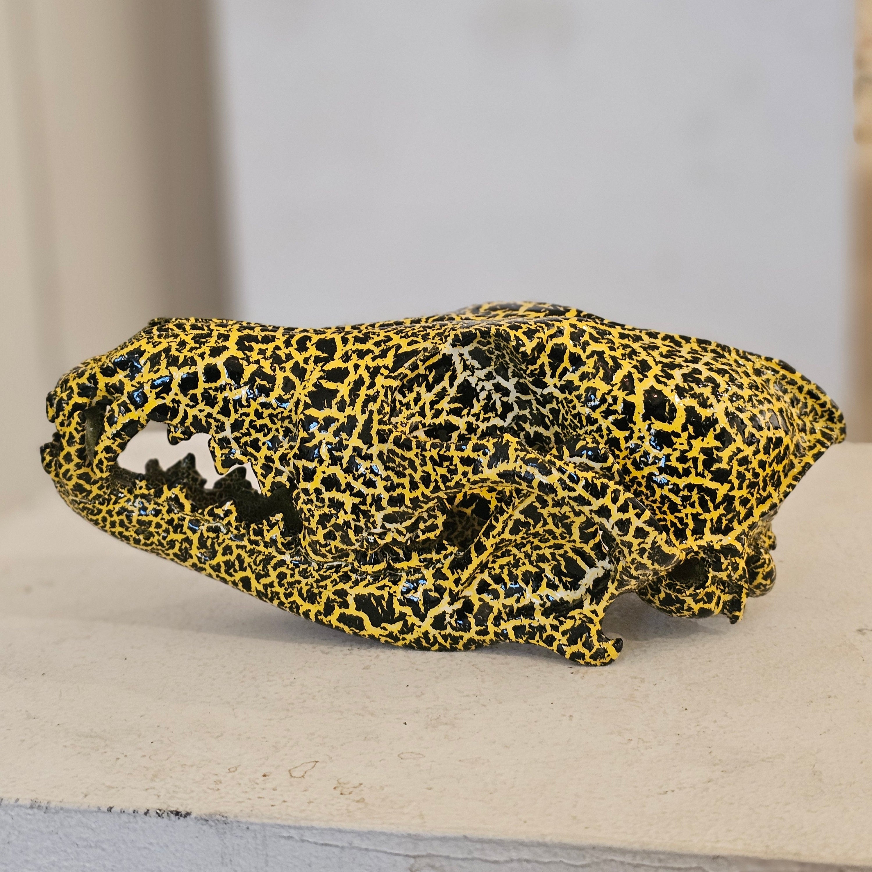 Skulls – Ghost Gallery