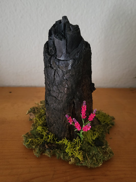 Carol Robinson "Recovery"