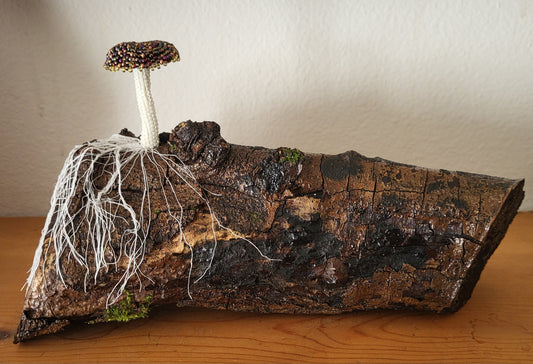 Carol Robinson "Web of Life"