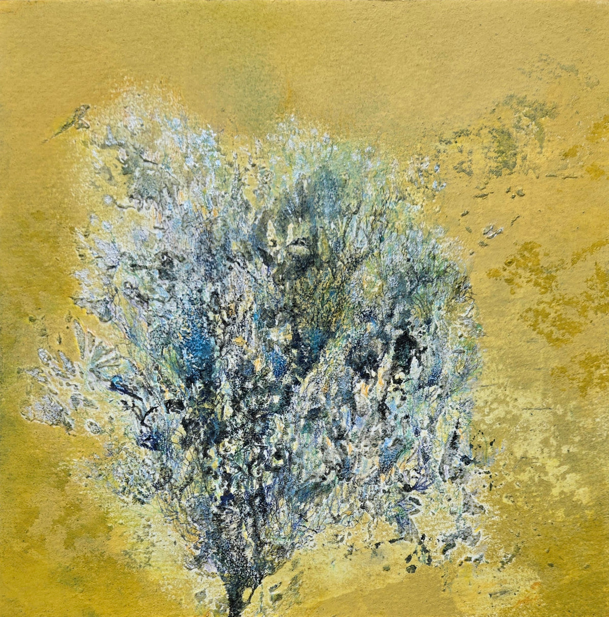 Elise DiGiuseppe "Mesquite"