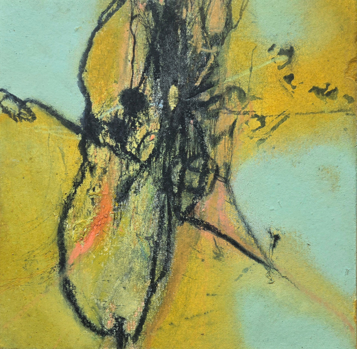 Elise DiGiuseppe "Chrysalis"