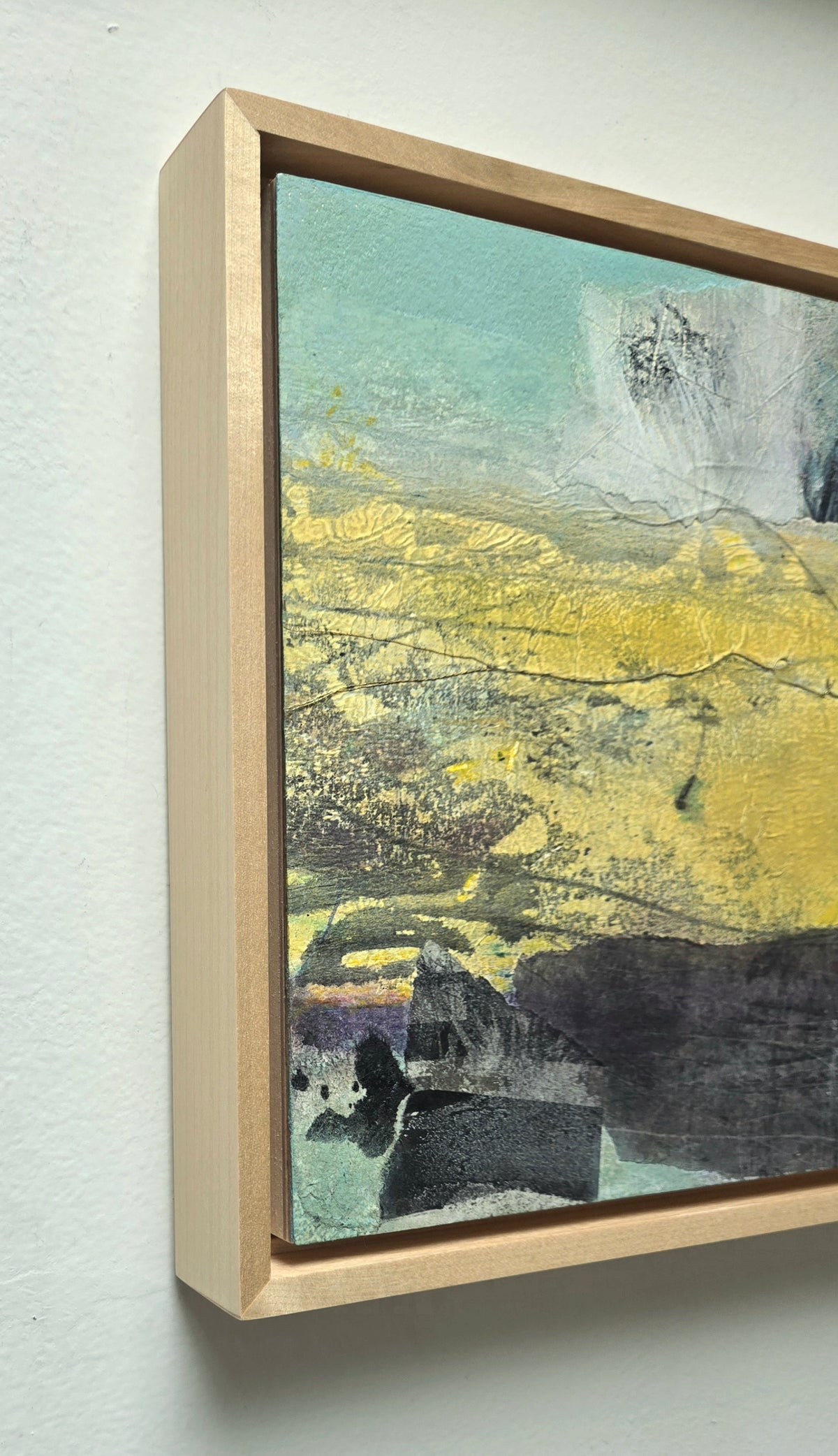 Elise DiGiuseppe "Yucca"