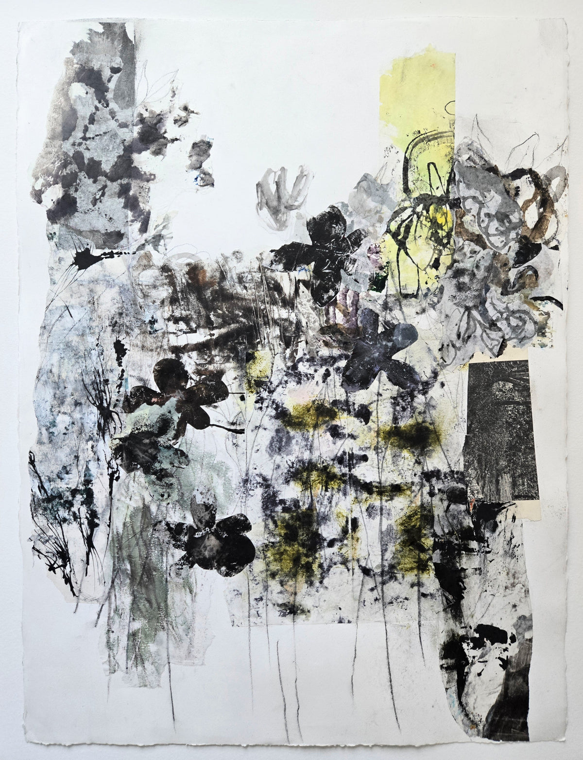 Elise DiGiuseppe "Meadow"
